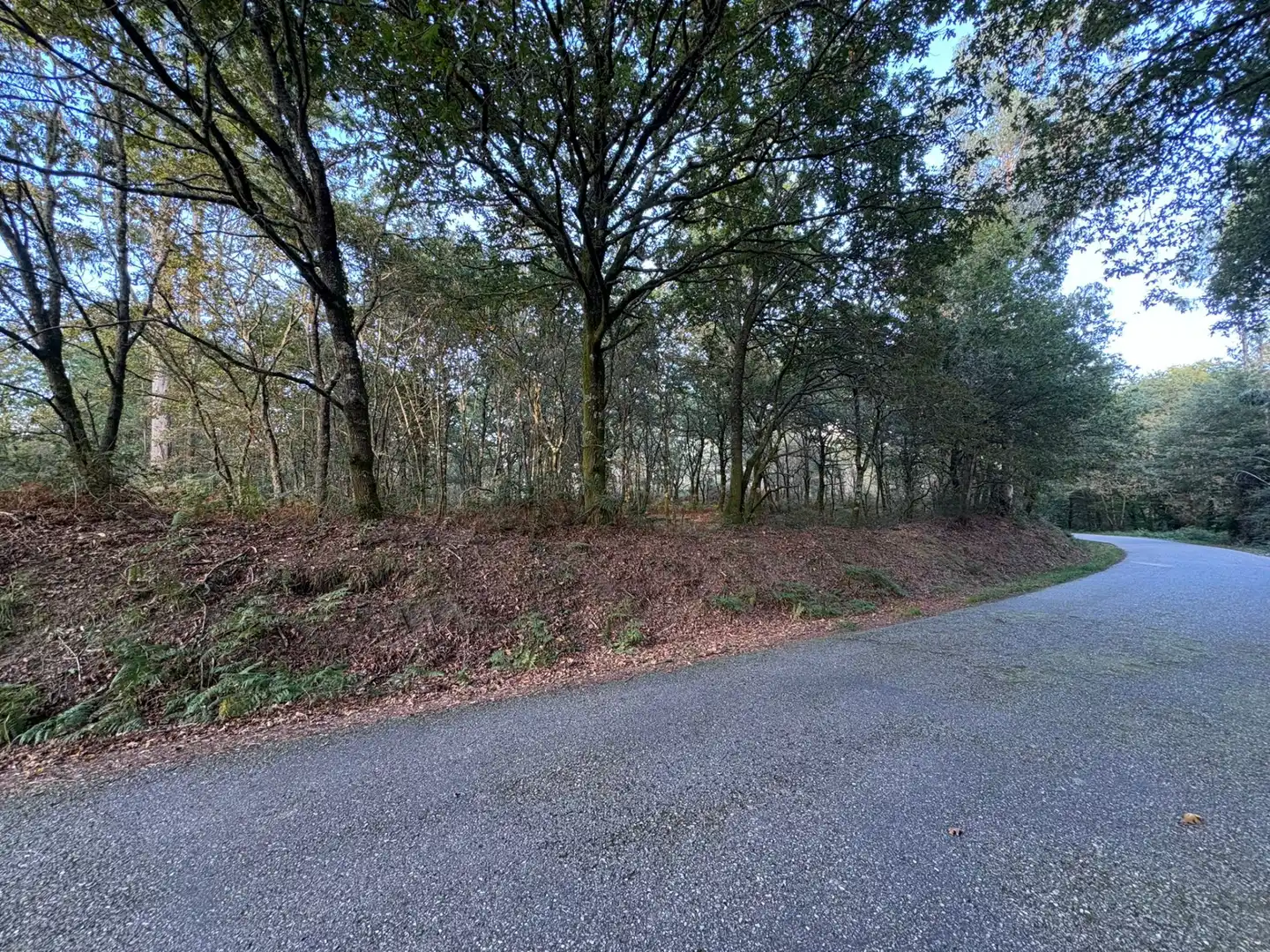 Lands and plots for sale in Mondariz, imagen 7