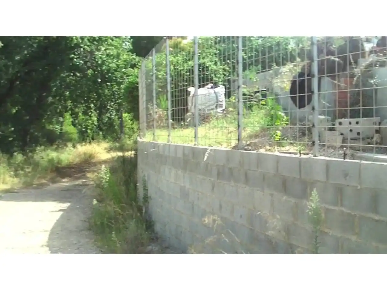 Rural land for sale in Calle Pins, imagen 4