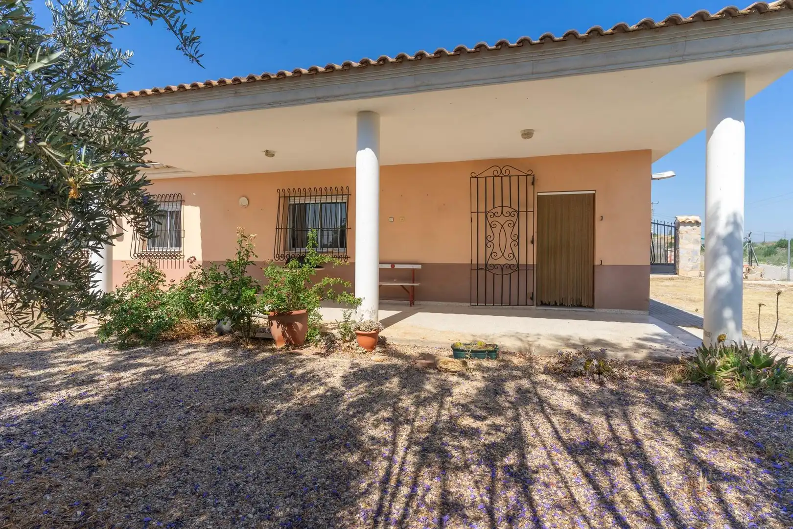 Exterior view of Country homes for sale in Abarán  with Terrace and Furnished