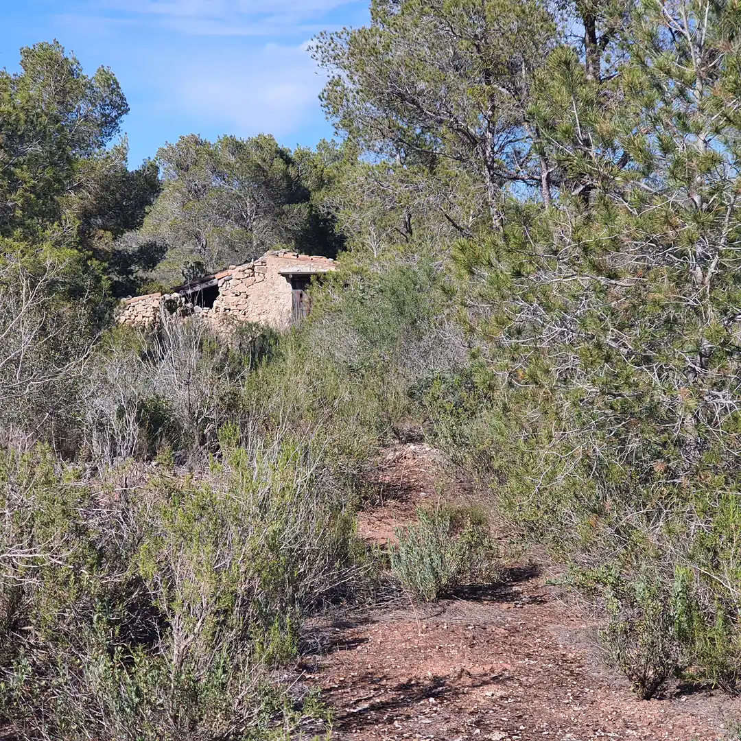Terrain rustique à vendre à Benifallet, imagen 18