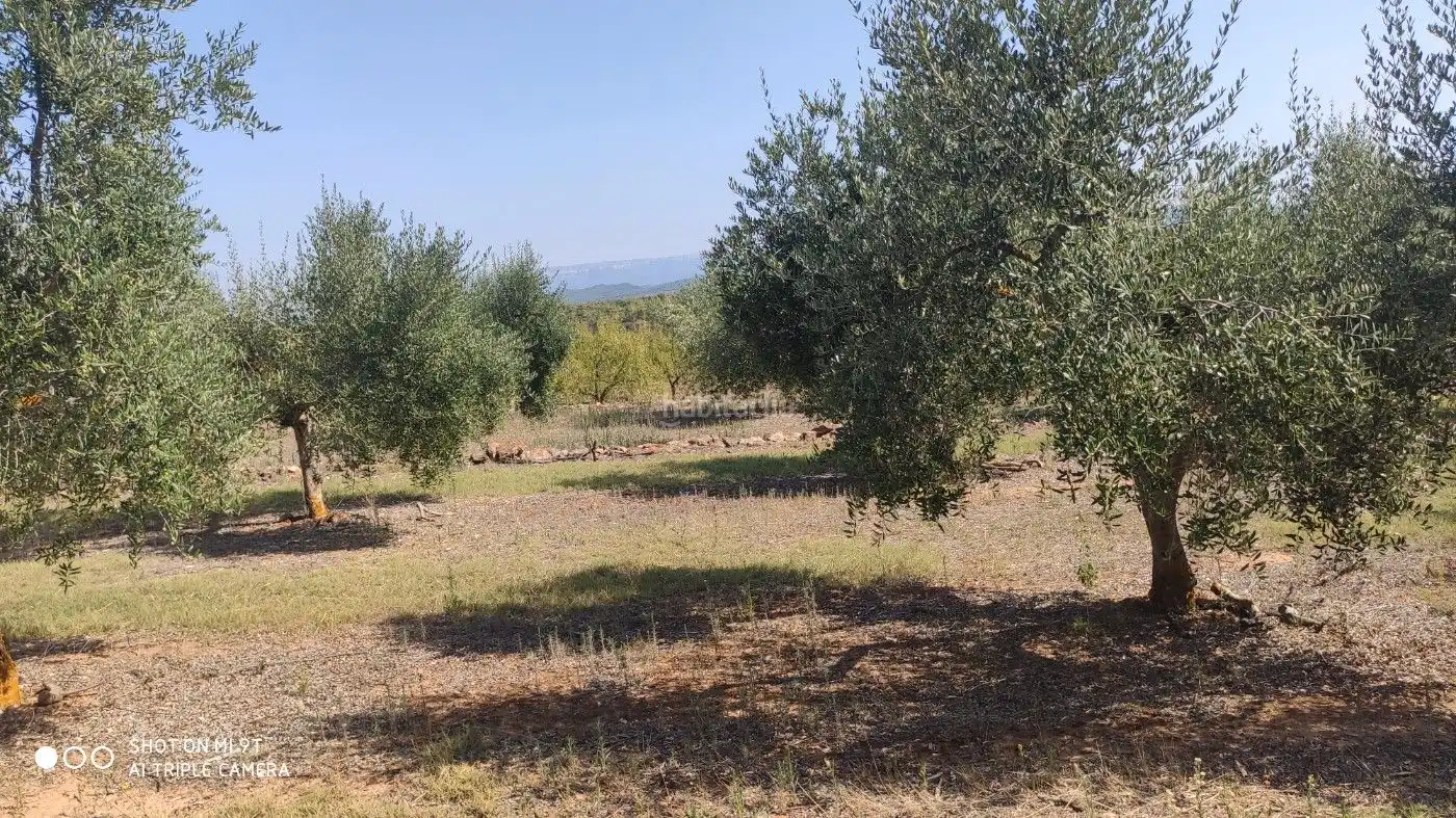 Rural land for sale in Carrer de la Muntanya 1, imagen 18