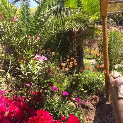 Casa rústica con piscina en venta en Pizarra, imagen 28
