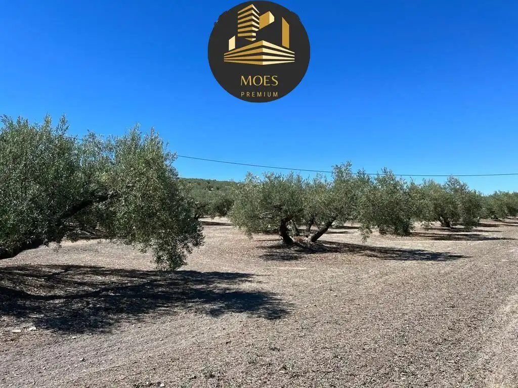 Casa o chalet en venta en Martos con Terraza