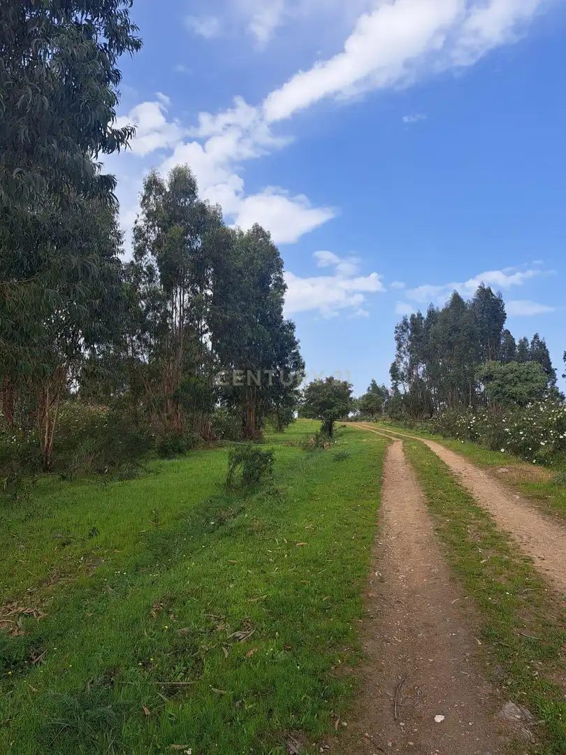 Terreno en venta en Herrera de Alcántara