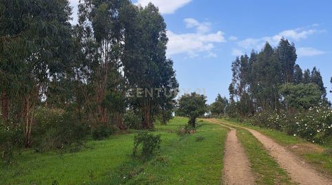 Foto 4 de Terreno en venta en Polígono 3 Parcela 2 la Garapetosa. Herrera de Alc, -1, Herrera de Alcántara, Cáceres