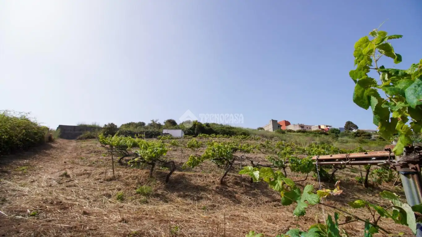 Finca rústica en venta en El Sauzal