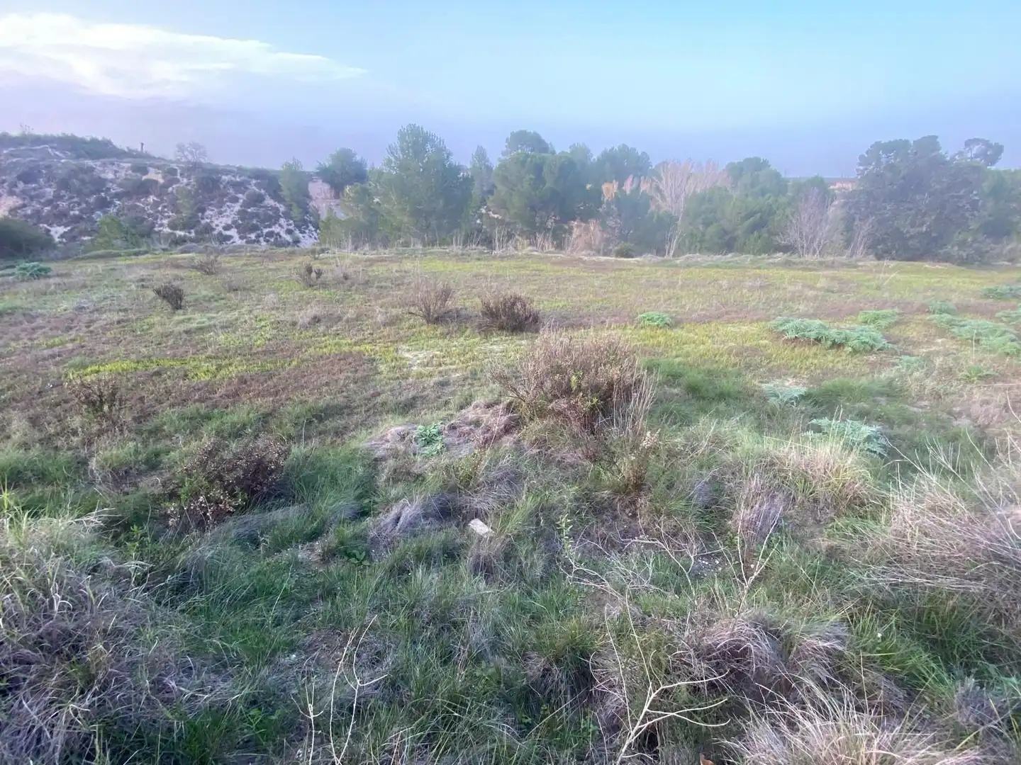 Residencial en venda en Arjona