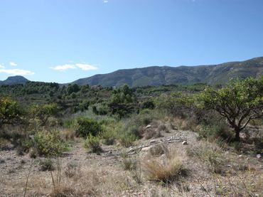 Terreny residencial en venda a Murla