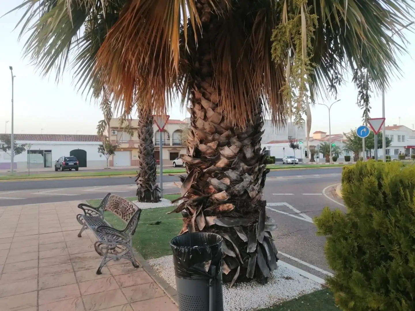Vista exterior de Local en venda en Puebla de la Calzada amb Calefacció