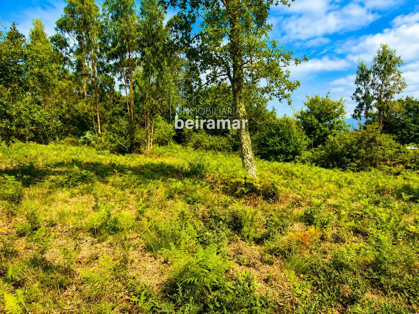 Wohnbaugrundstück zum Verkauf in Axeitos, imagen 4