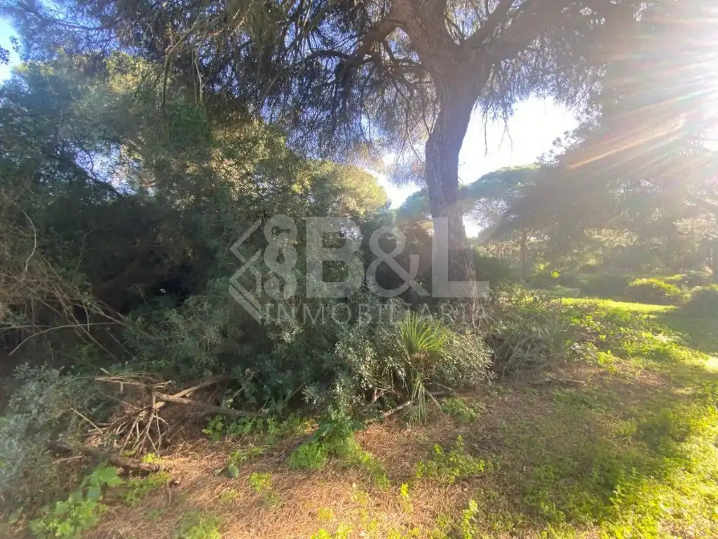 Finca rústica en venta en Gibraleón