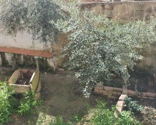 Garden of House or chalet for sale in Molina de Segura  with Heating, Terrace and Storage room