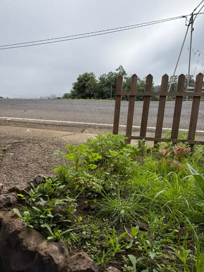 Finca rústica en venta en Santa María de Guía de Gran Canaria con Amueblado