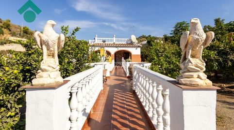 Foto 4 de Finca rústica en venda a Avda Pescia - Ctra de Frigiliana, Nerja