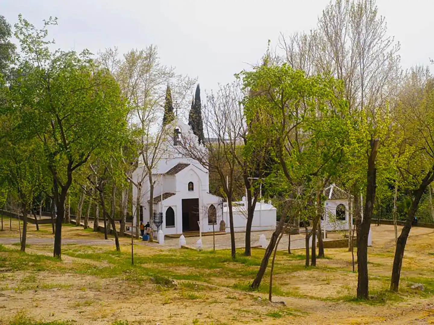 Vista exterior de Casa adosada en venta en Villaverde del Río