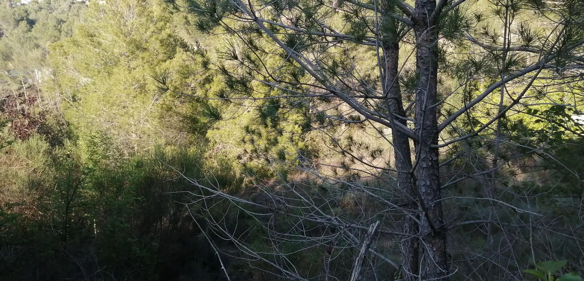 Terreno rustico in vendita a Piera, imagen 3