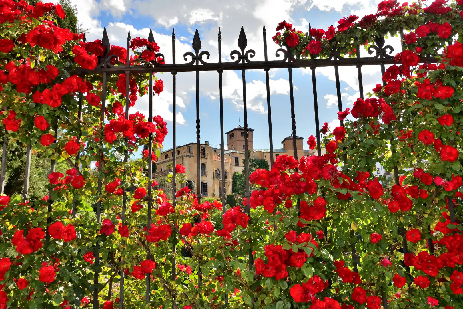 Jardín de Casa adosada en venta en Ronda con Terraza y Balcón
