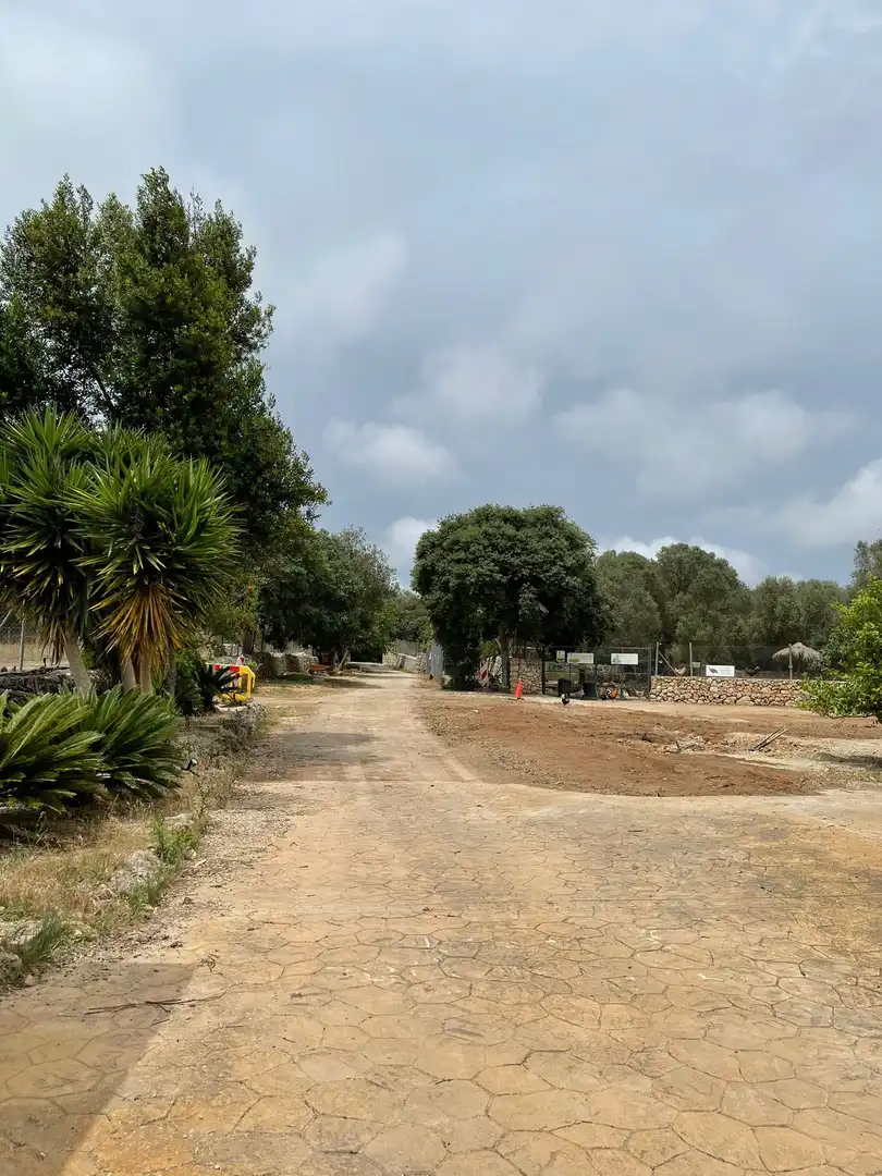 Finca rústica en venda a Lloret de Vistalegre