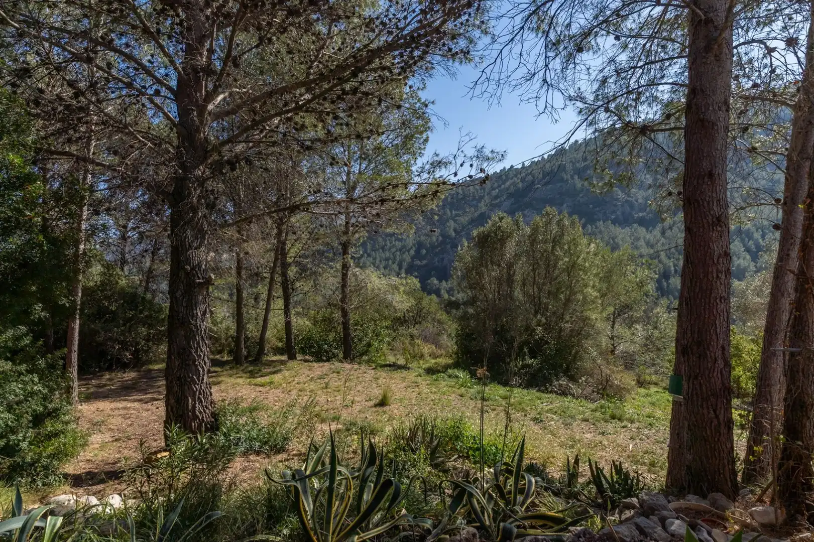 Casa con piscina en venta en Castell de Castells, imagen 29
