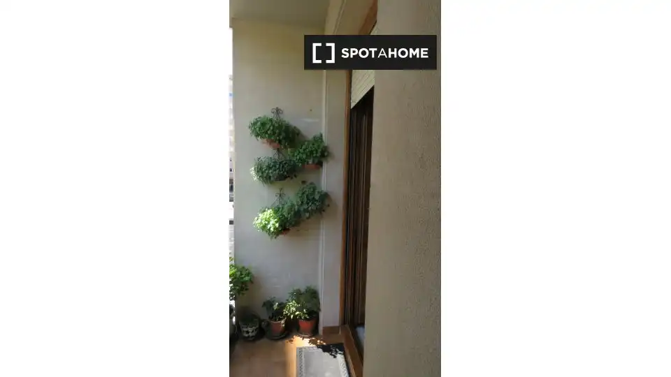 Room in Amara