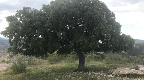 Foto 3 de Terreno en venta en Avda de Madrid - Pº de la Estación, Jaén Capital