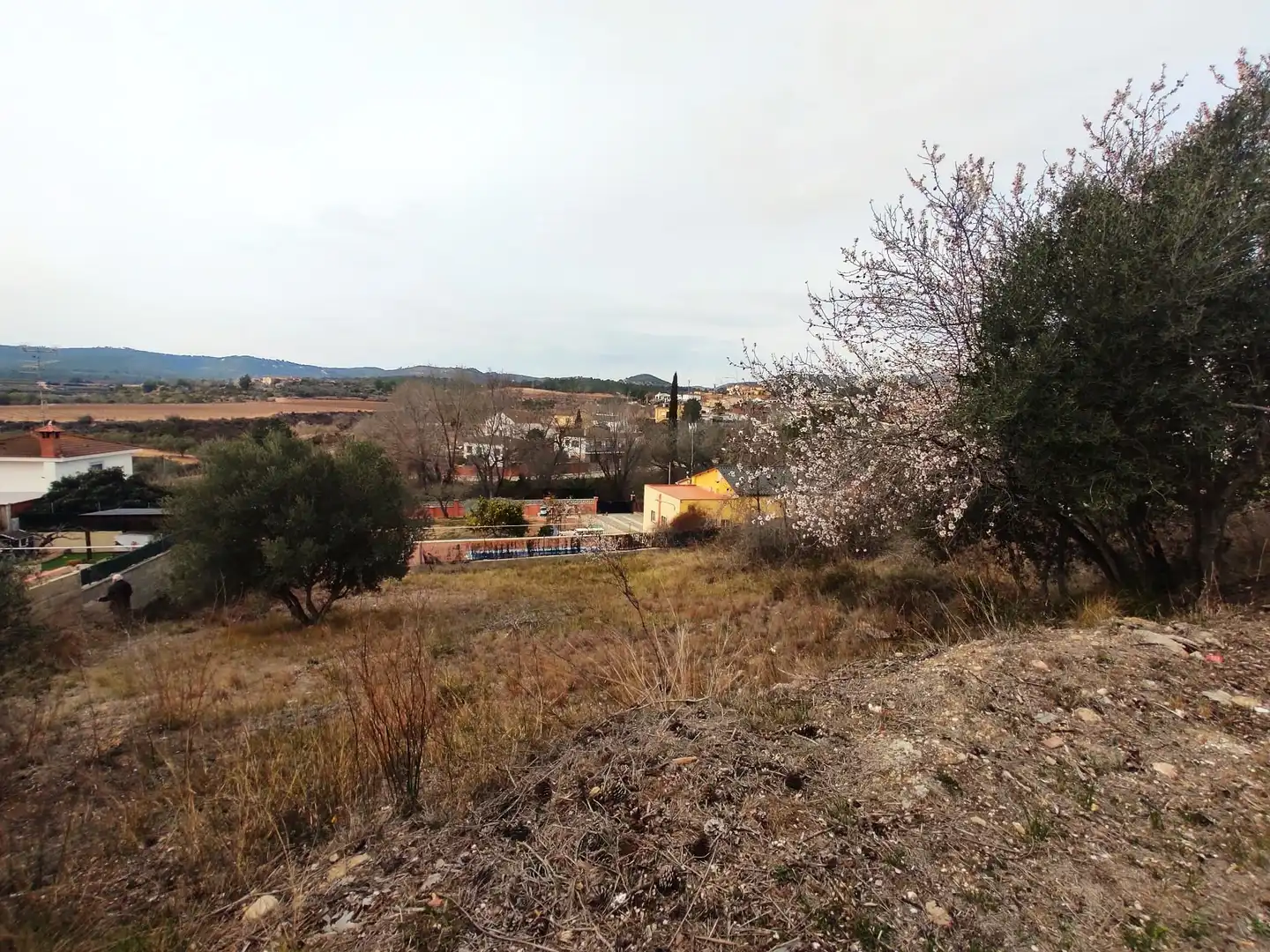 Terrenys i solars en venda a La Bisbal del Penedès, imagen 15