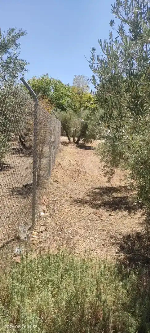 Finca rústica en venda en Santa Cruz de Mudela amb Jardí privat, Traster i Piscina