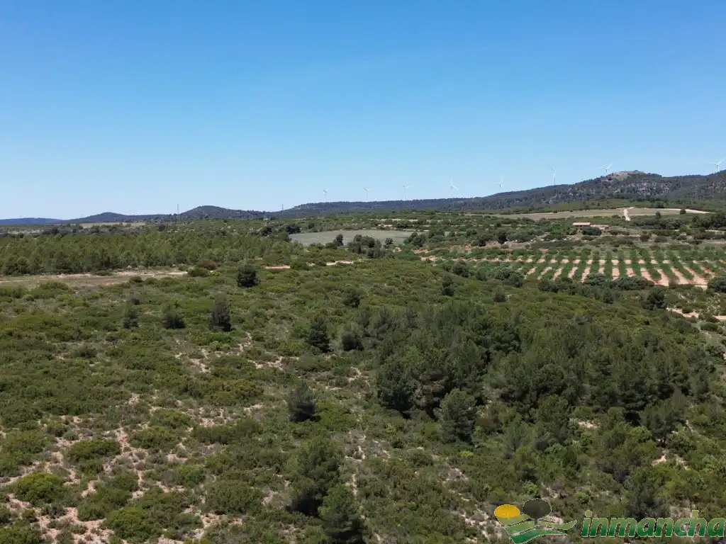 Terreni e lotti in vendita a Almansa, imagen 7