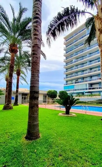 Piso de alquiler en De La Universitat, 12, Grau de Gandia - Venecia - Marenys de Rafalcaid