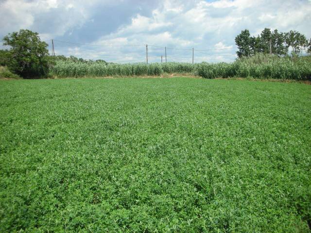 Terreno en Venta en Vilanova del Vallès