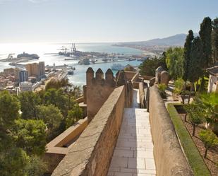 Exterior view of Residential for sale in Málaga Capital