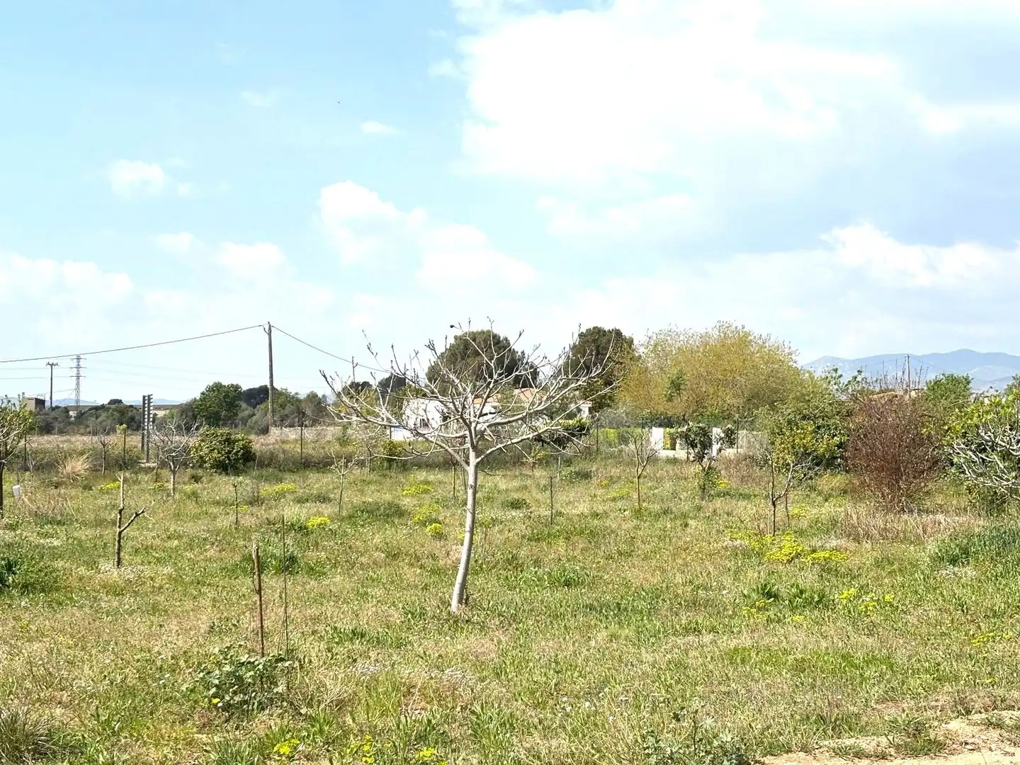 Rural land for sale in Santa Oliva