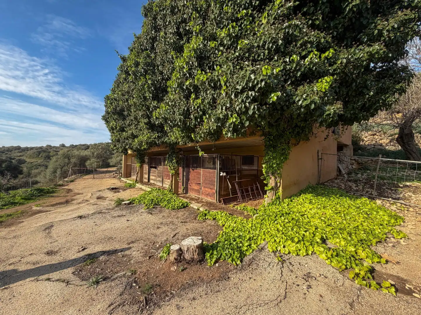 Haus mit Garten zum Verkauf in Manacor - Carrer de Vilanova, imagen 15