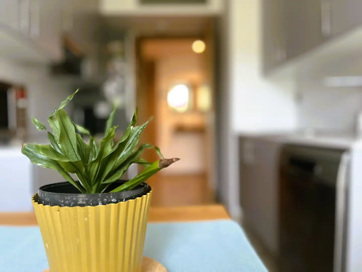 Piso en venta en Mollet del Vallès con Aire acondicionado, Calefacción y Parquet