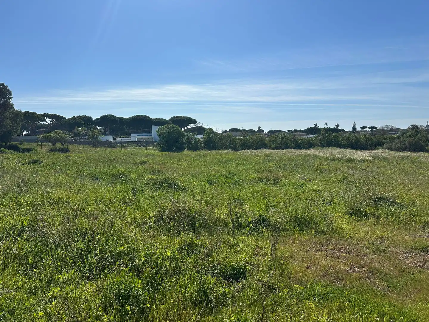 Rustikales Grundstück zum Verkauf in Las Lagunas - Campano, imagen 5