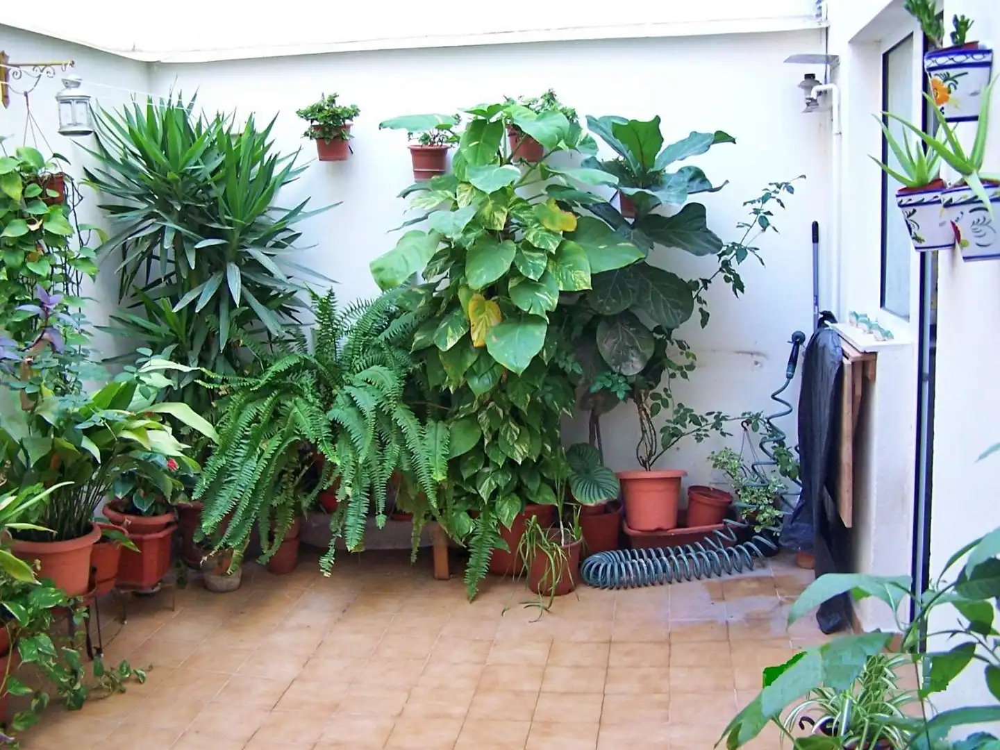 Bajo en venta en Calle CUENCA, imagen 14