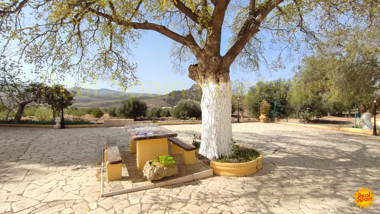 Jardín de Finca rústica en venta en Vélez-Rubio con Terraza y Piscina