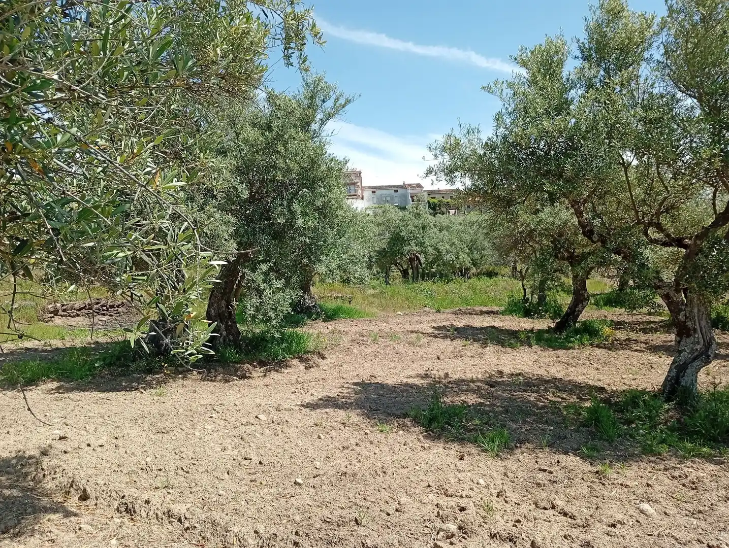 Terreni e lotti in vendita a Villanueva de la Vera, imagen 39