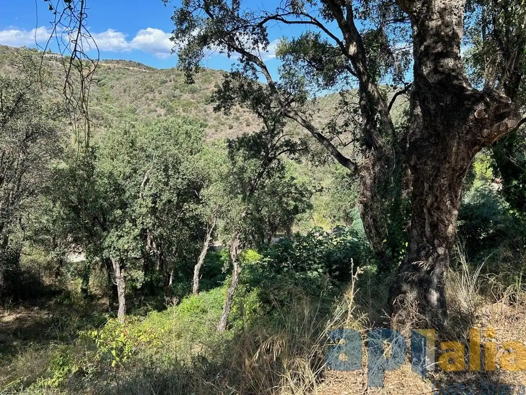 Terreno residenziale in vendita a Carrer Herentale, imagen 4