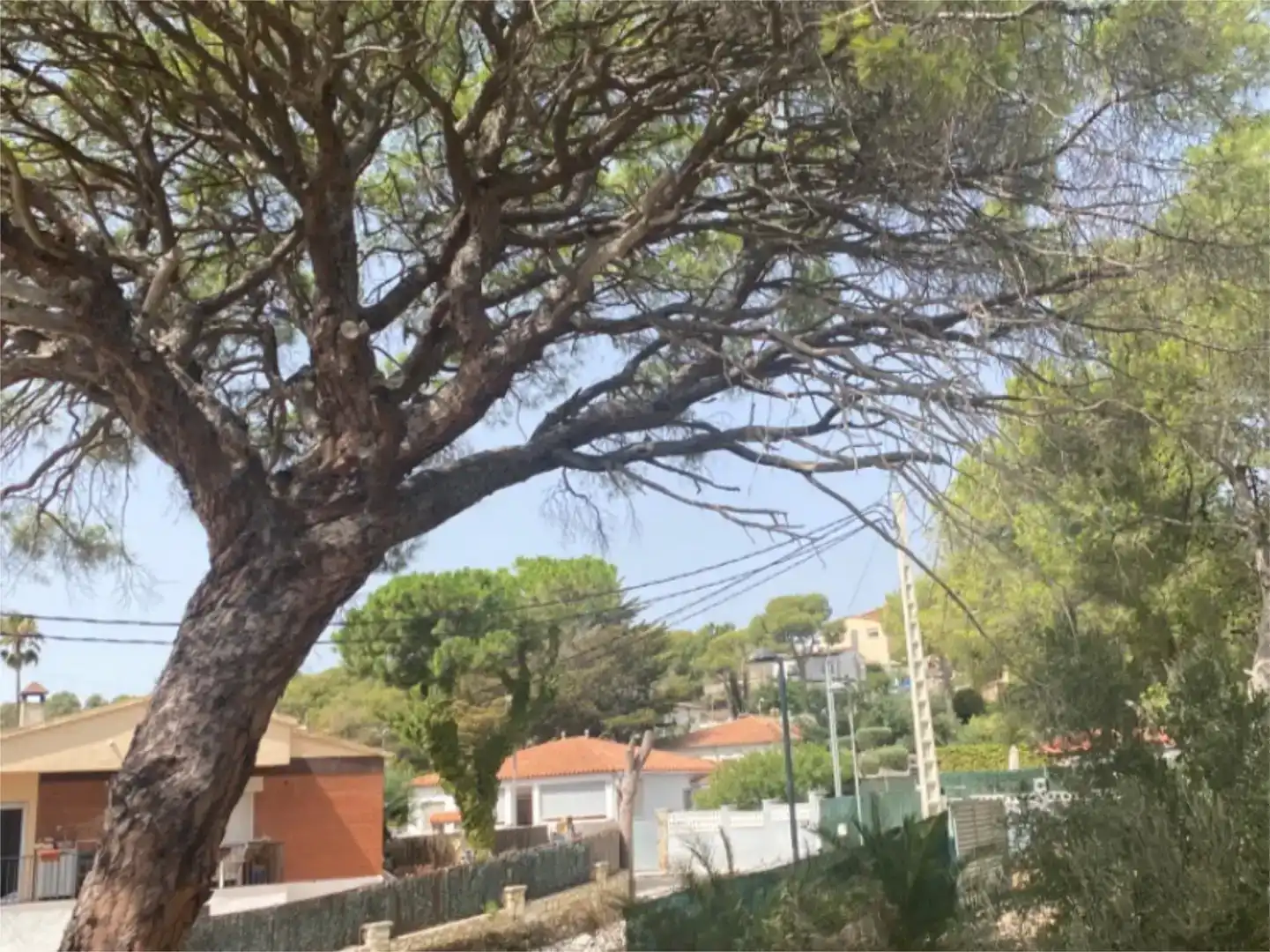 Vista exterior de Casa o xalet en venda en Cubelles amb Piscina
