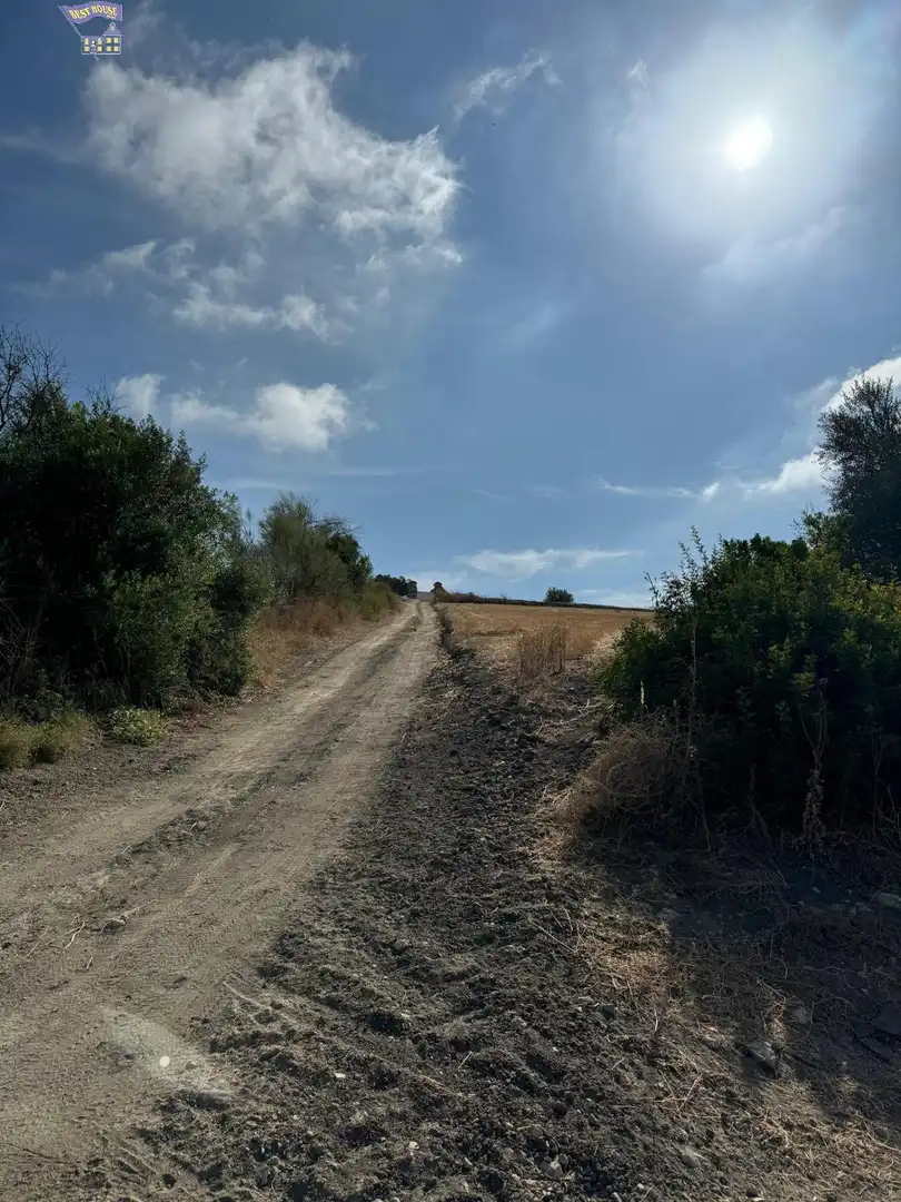 Terreny rústic en venda a Arcos de la Frontera, imagen 4