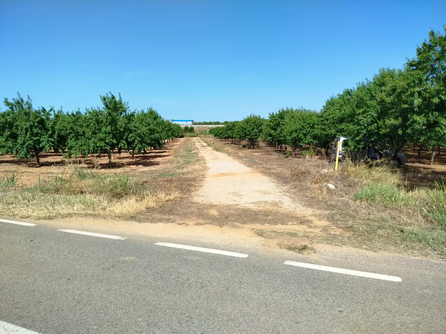 Terreny rústic en venda a La Masó, imagen 5