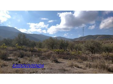 Rural land for sale in Fondón