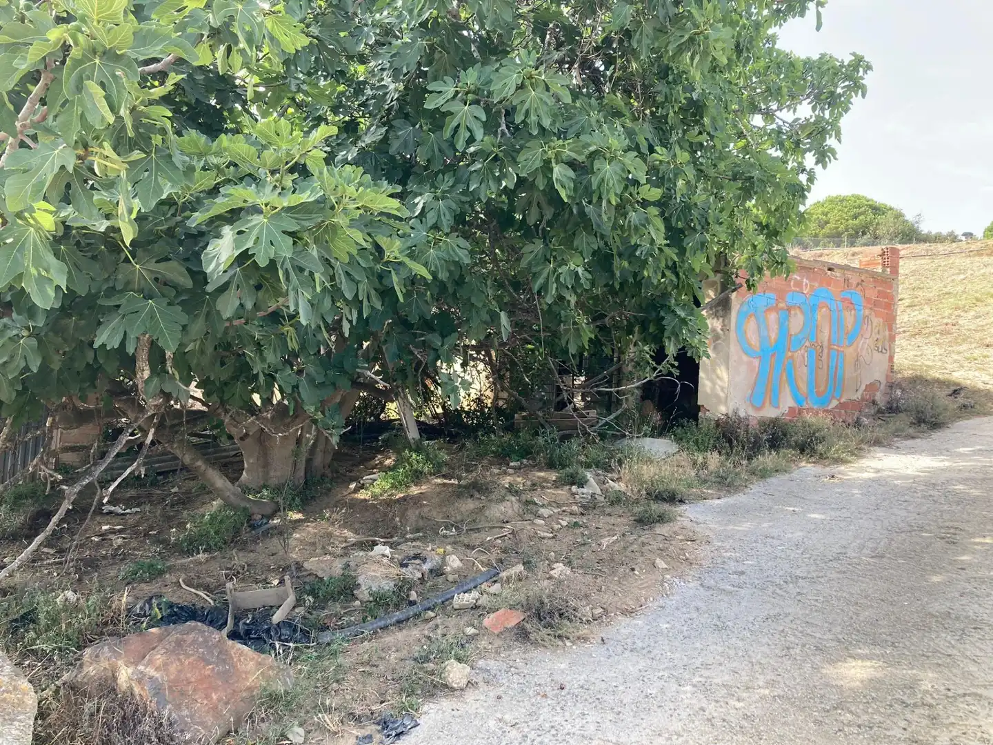 Terreno en venta en Pineda de Mar
