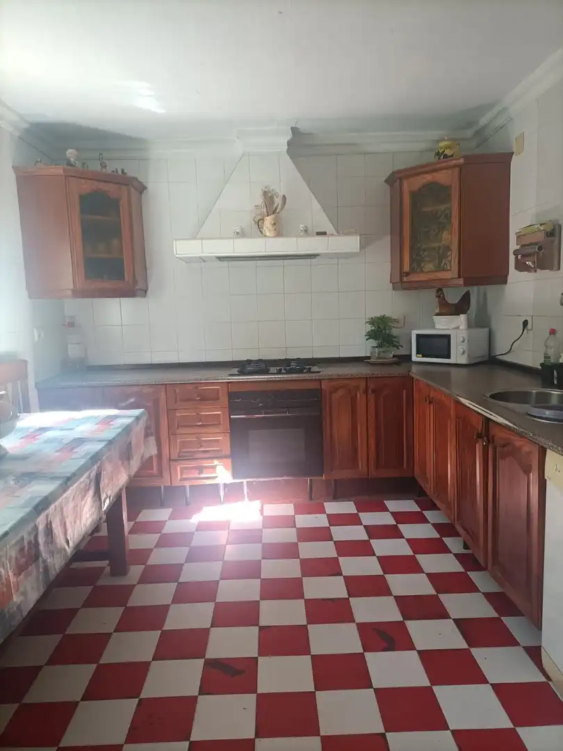 Cuina de Casa o xalet en venda en San Fernando amb Jardí privat