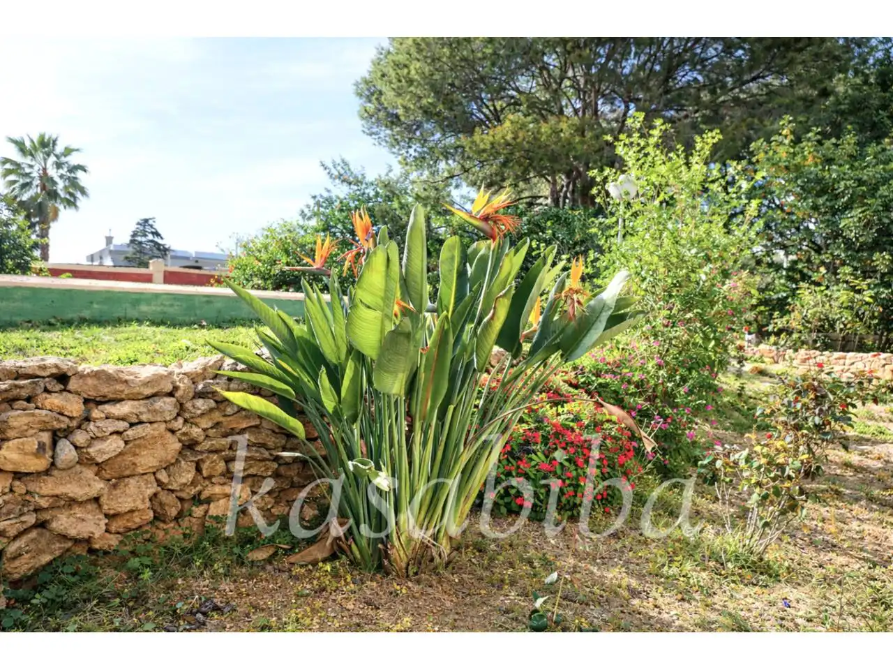 Jardín de Casa o chalet en venta en Náquera con Jardín privado, Terraza y Piscina