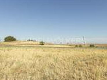 Terrenos y solares en venta en Valdeolmos-Alalpardo