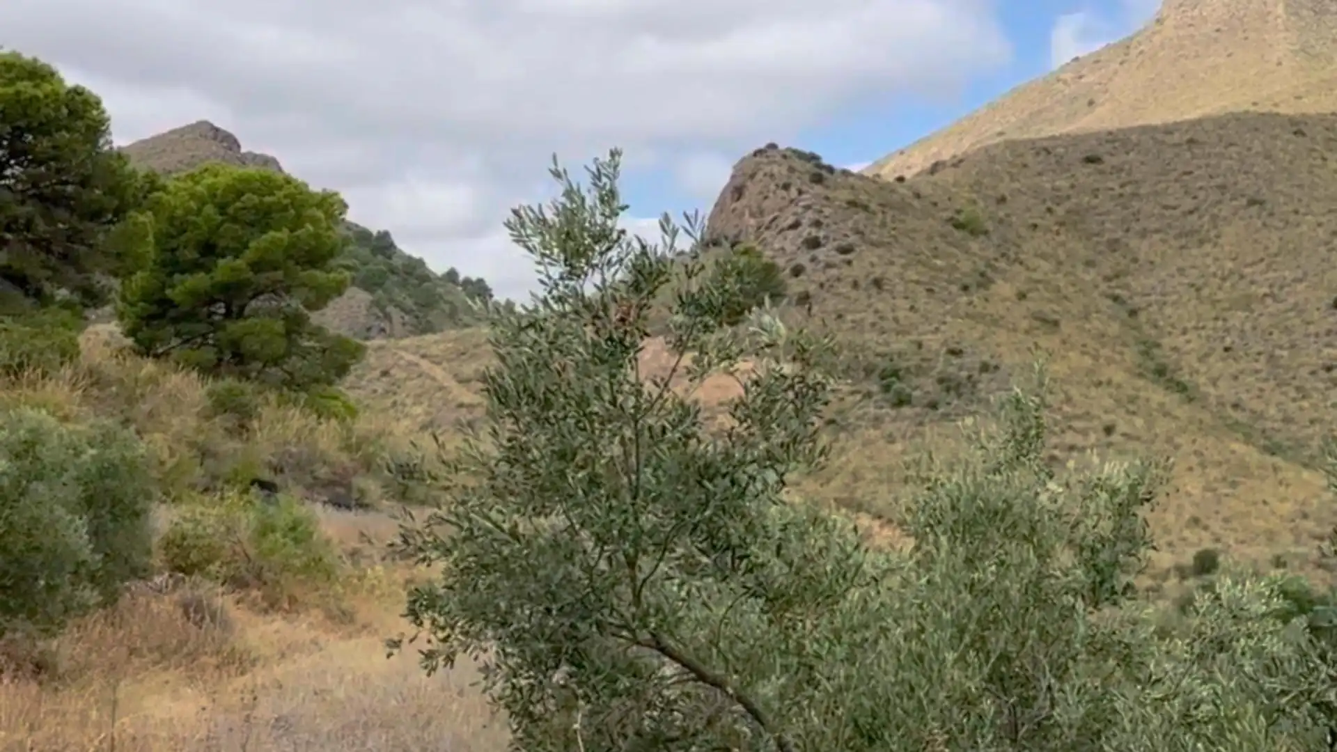 Country homes for sale in Lorca  with Private garden