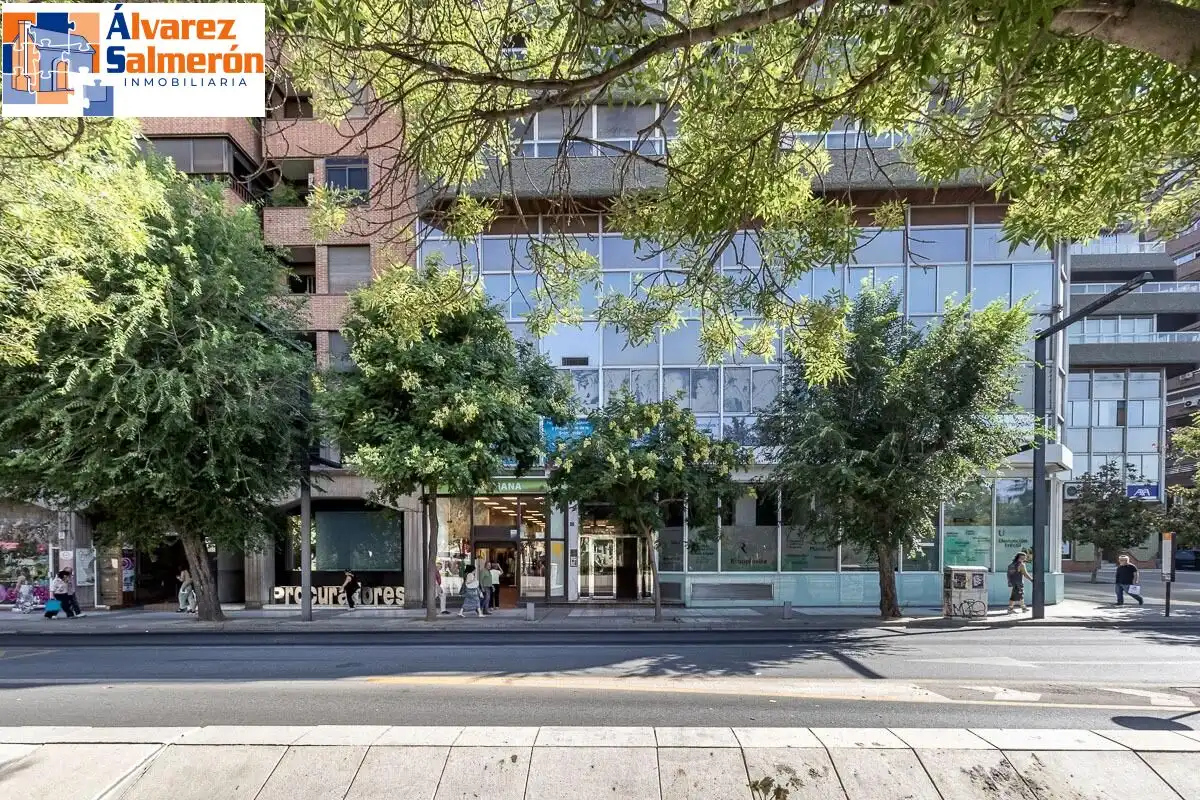 Appartamento con ascensore in vendita a Avenida de la Constitución, imagen 32