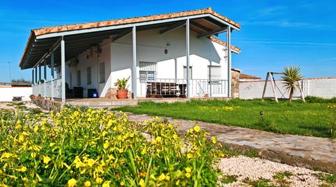 Foto 3 de Casa o xalet en venda a  Cadiz de la Boyal, Pelagatos - Pago del Humo, Chiclana de la Frontera
